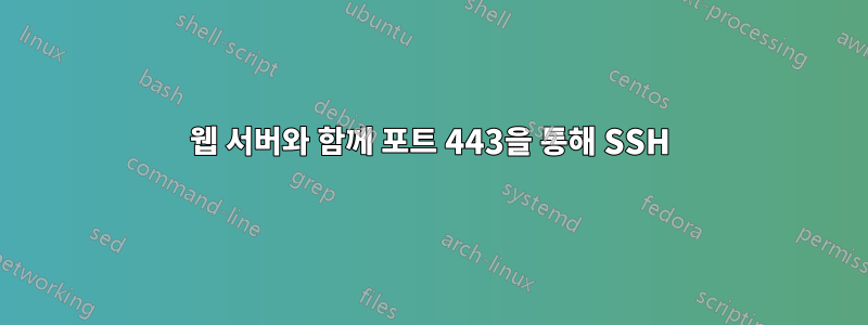 웹 서버와 함께 포트 443을 통해 SSH