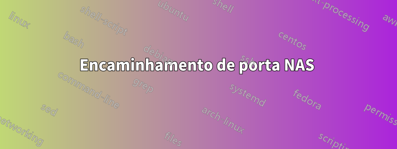 Encaminhamento de porta NAS
