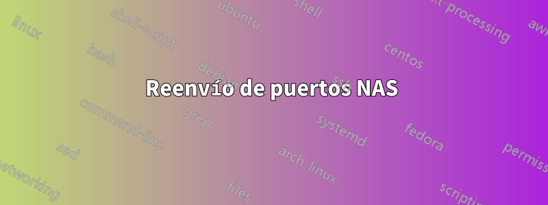 Reenvío de puertos NAS