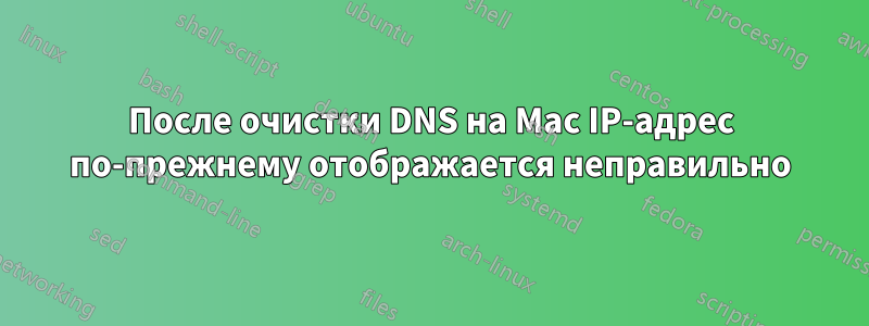 После очистки DNS на Mac IP-адрес по-прежнему отображается неправильно