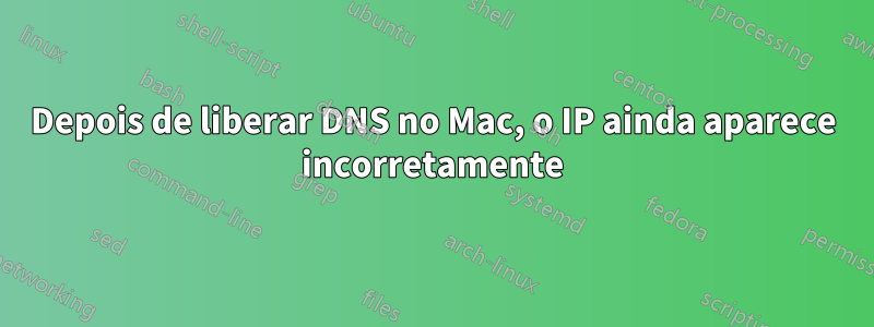 Depois de liberar DNS no Mac, o IP ainda aparece incorretamente