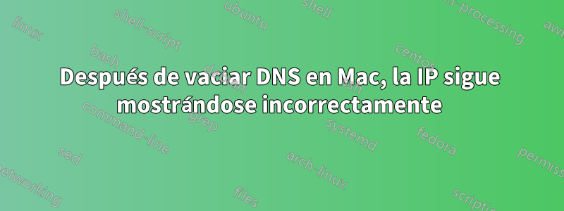 Después de vaciar DNS en Mac, la IP sigue mostrándose incorrectamente