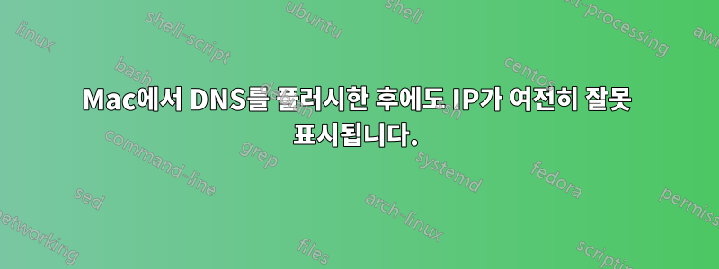Mac에서 DNS를 플러시한 후에도 IP가 여전히 잘못 표시됩니다.