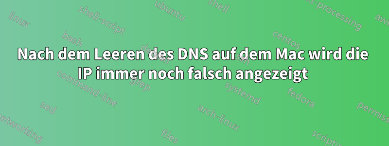 Nach dem Leeren des DNS auf dem Mac wird die IP immer noch falsch angezeigt