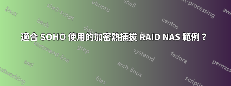 適合 SOHO 使用的加密熱插拔 RAID NAS 範例？