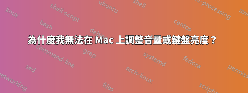 為什麼我無法在 Mac 上調整音量或鍵盤亮度？