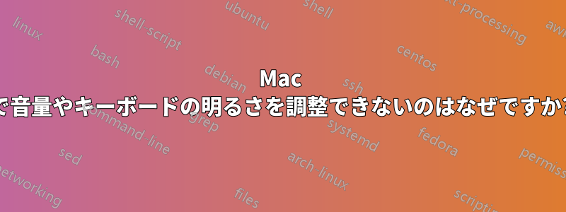 Mac で音量やキーボードの明るさを調整できないのはなぜですか?