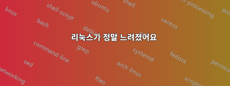 리눅스가 정말 느려졌어요