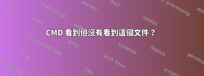 CMD 看到但沒有看到這個文件？