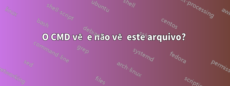 O CMD vê e não vê este arquivo?
