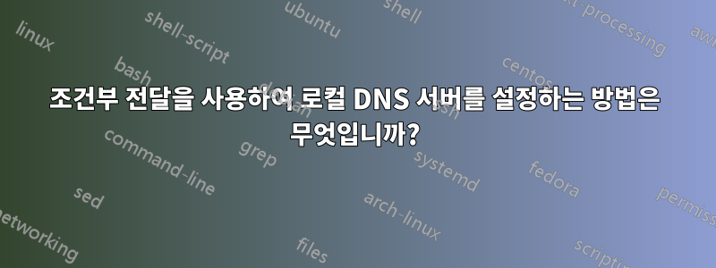 조건부 전달을 사용하여 로컬 DNS 서버를 설정하는 방법은 무엇입니까?
