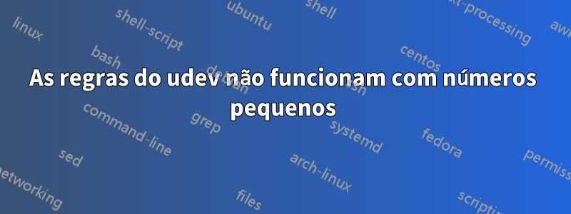 As regras do udev não funcionam com números pequenos