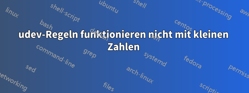 udev-Regeln funktionieren nicht mit kleinen Zahlen