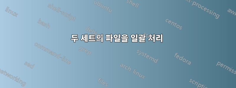 두 세트의 파일을 일괄 처리