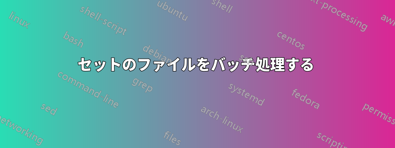 2セットのファイルをバッチ処理する