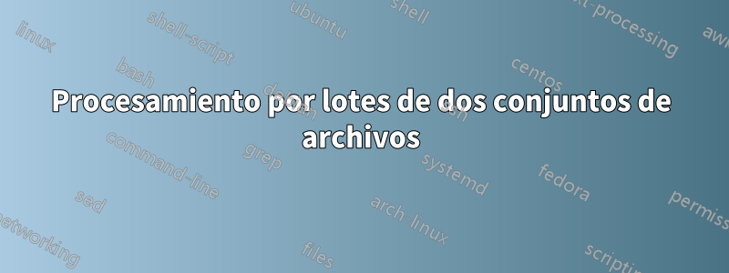 Procesamiento por lotes de dos conjuntos de archivos