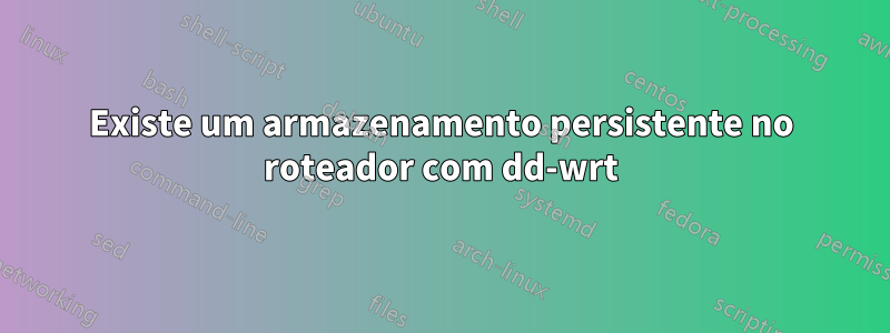 Existe um armazenamento persistente no roteador com dd-wrt