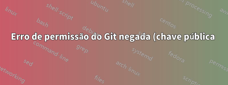 Erro de permissão do Git negada (chave pública)