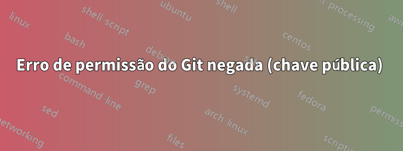 Erro de permissão do Git negada (chave pública)