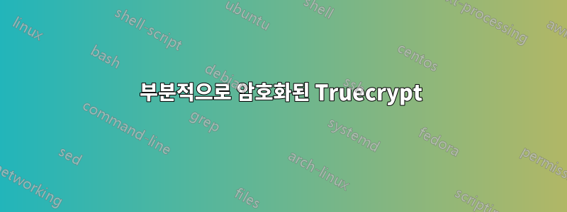 부분적으로 암호화된 Truecrypt