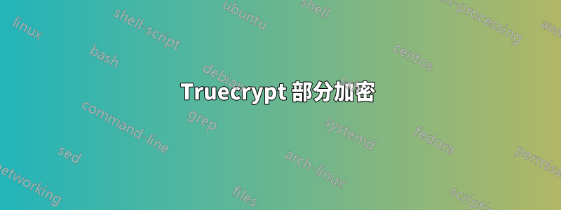 Truecrypt 部分加密