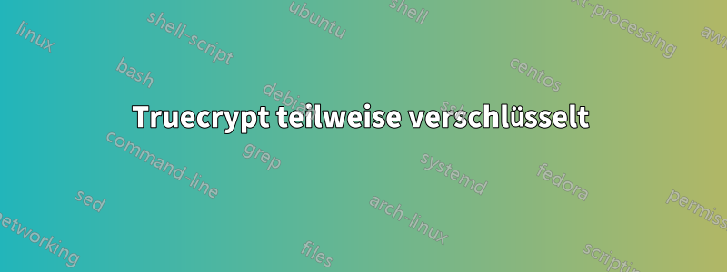 Truecrypt teilweise verschlüsselt