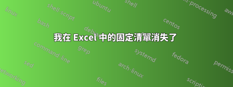 我在 Excel 中的固定清單消失了