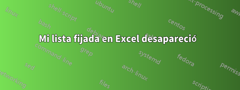 Mi lista fijada en Excel desapareció