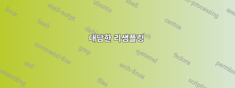 대담한 리샘플링