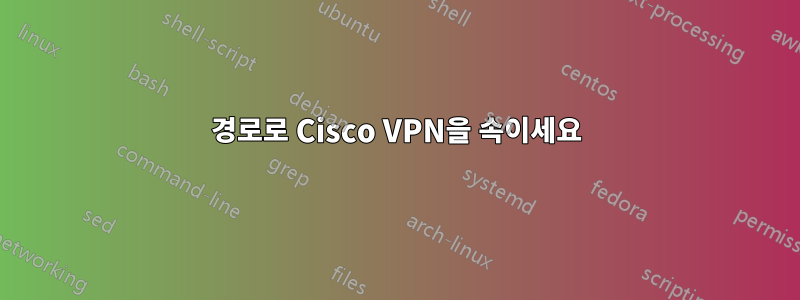 경로로 Cisco VPN을 속이세요