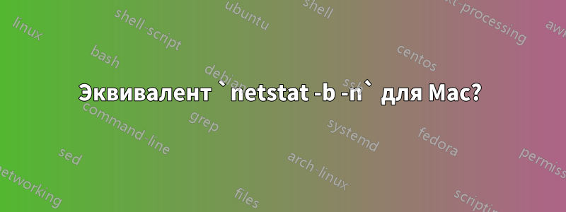 Эквивалент `netstat -b -n` для Mac?