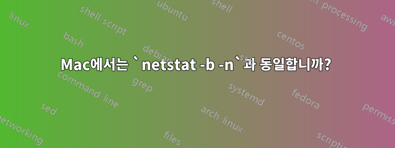 Mac에서는 `netstat -b -n`과 동일합니까?