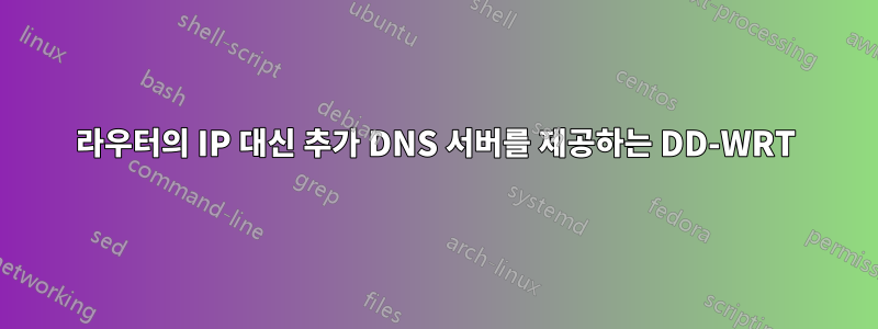 라우터의 IP 대신 추가 DNS 서버를 제공하는 DD-WRT