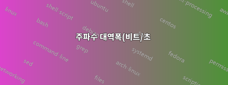 주파수 대역폭(비트/초)