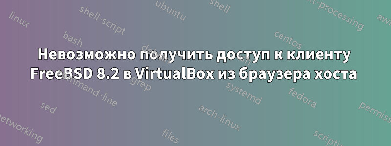 Невозможно получить доступ к клиенту FreeBSD 8.2 в VirtualBox из браузера хоста