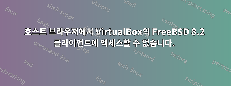 호스트 브라우저에서 VirtualBox의 FreeBSD 8.2 클라이언트에 액세스할 수 없습니다.