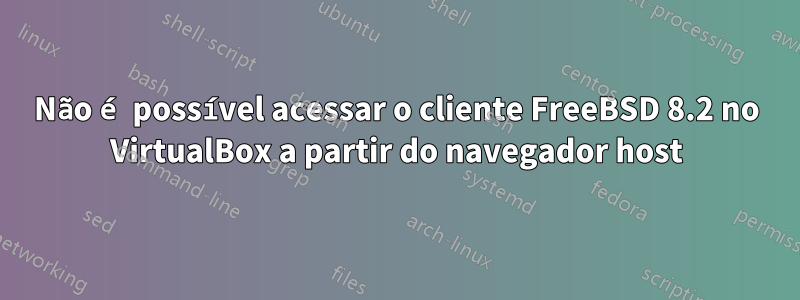 Não é possível acessar o cliente FreeBSD 8.2 no VirtualBox a partir do navegador host