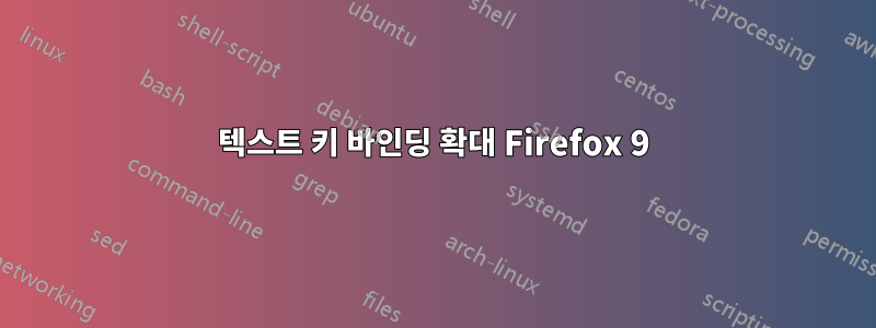 텍스트 키 바인딩 확대 Firefox 9