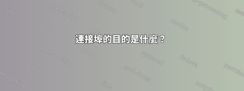 連接埠的目的是什麼？