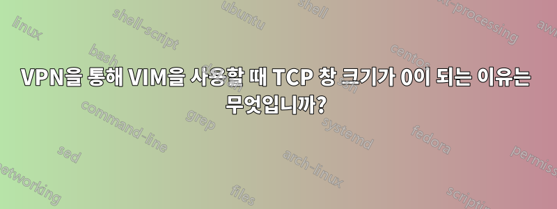 VPN을 통해 VIM을 사용할 때 TCP 창 크기가 0이 되는 이유는 무엇입니까?