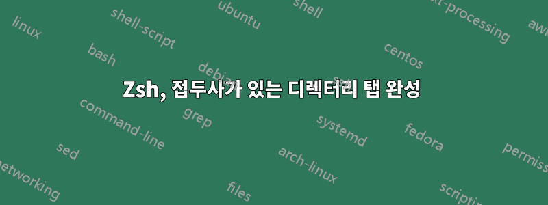 Zsh, 접두사가 있는 디렉터리 탭 완성