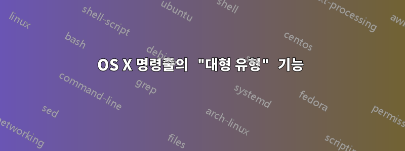 OS X 명령줄의 "대형 유형" 기능