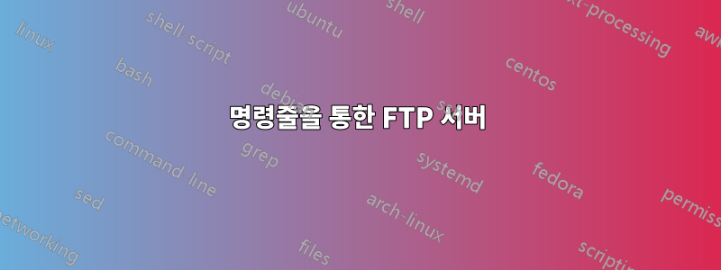 명령줄을 통한 FTP 서버