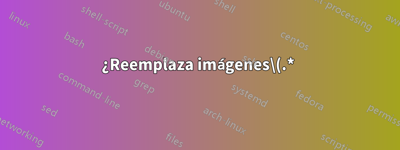 ¿Reemplaza imágenes\(.*)" con imágenes/\1" en todos los archivos?