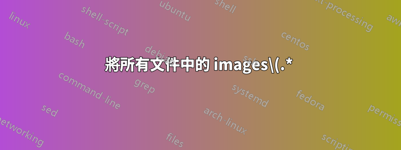 將所有文件中的 images\(.*)" 替換為 images/\1" ?
