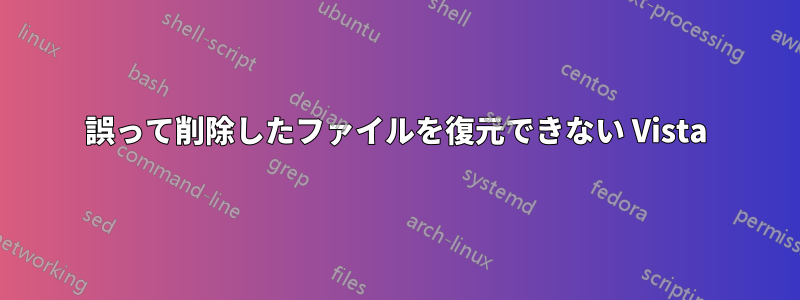 誤って削除したファイルを復元できない Vista