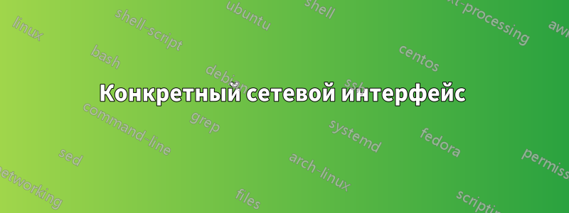 Конкретный сетевой интерфейс