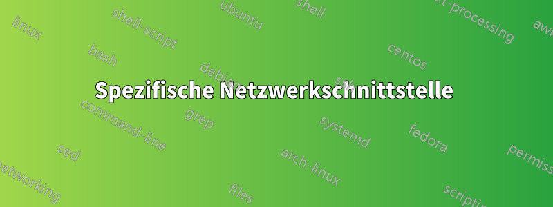 Spezifische Netzwerkschnittstelle