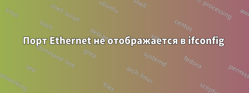 Порт Ethernet не отображается в ifconfig