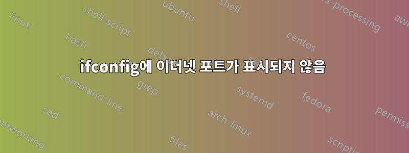 ifconfig에 이더넷 포트가 표시되지 않음